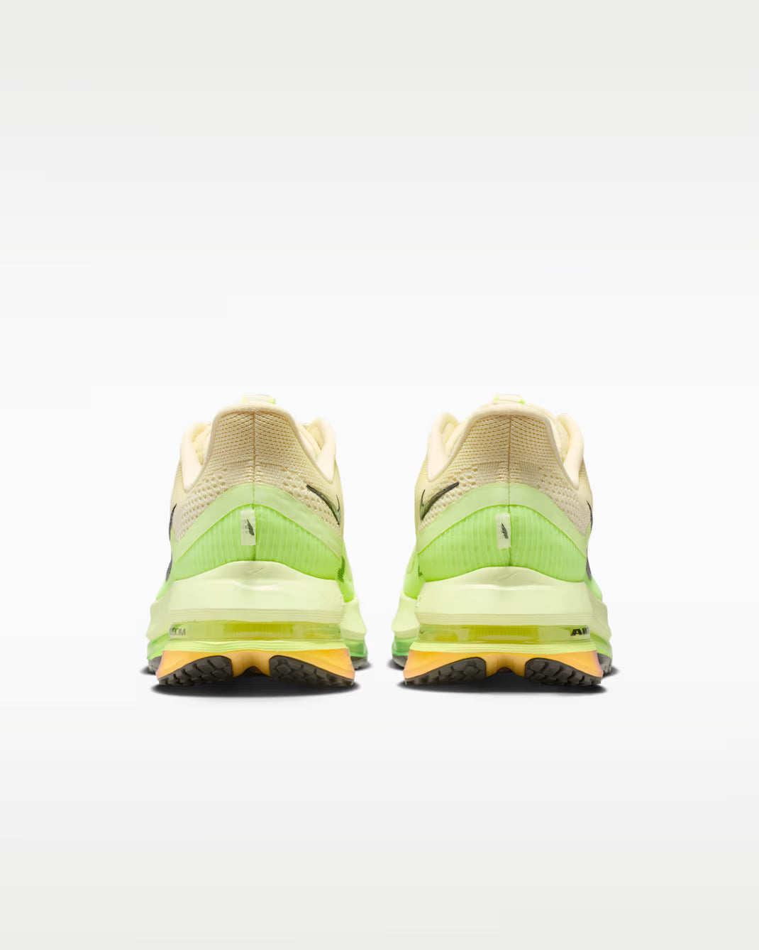 Nike Pegasus Premium