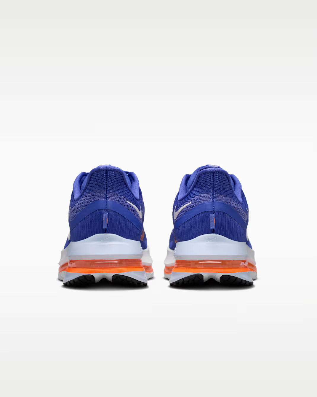 Nike Pegasus Premium