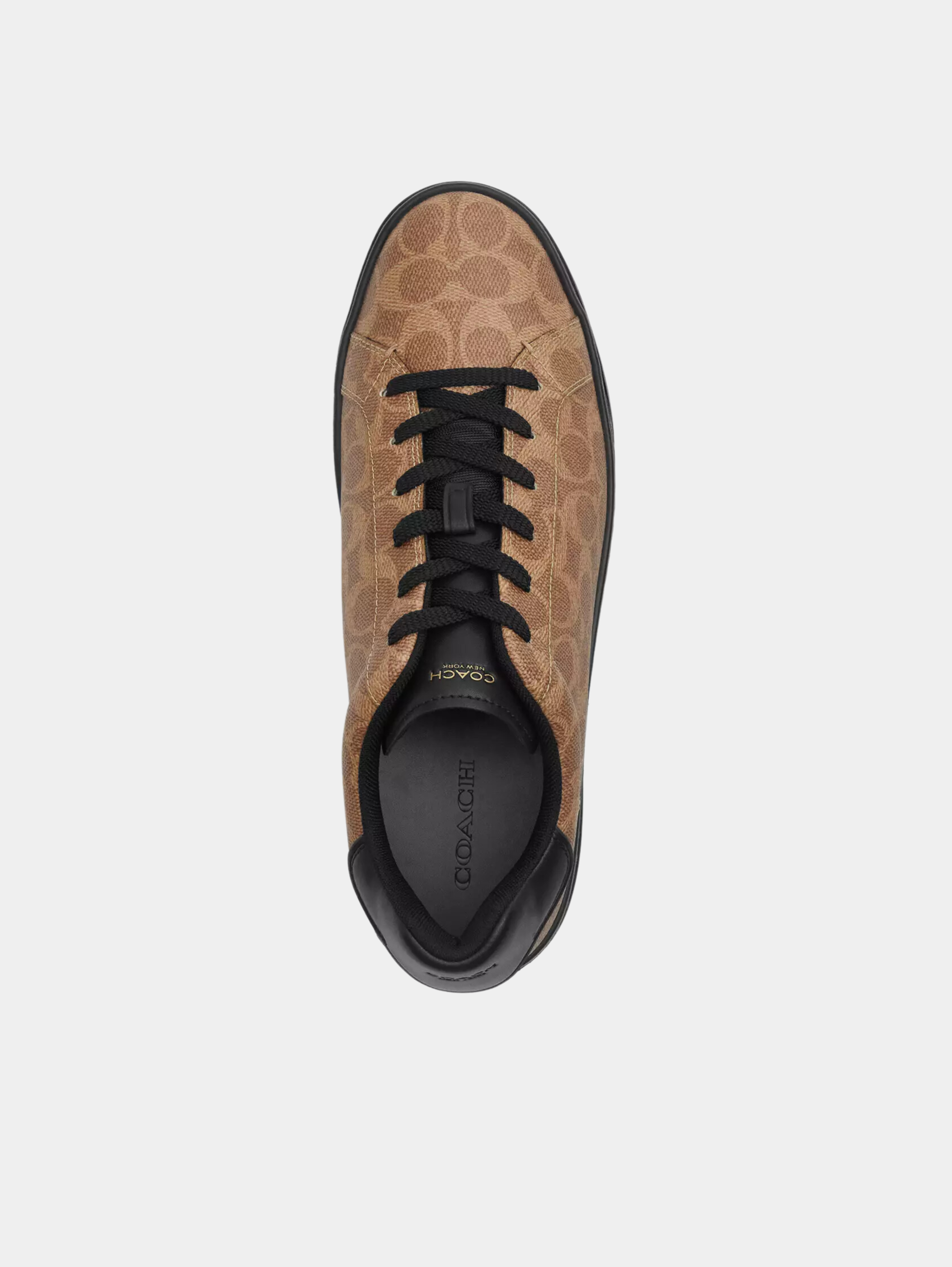 High Line Sneaker In Signature Canvas