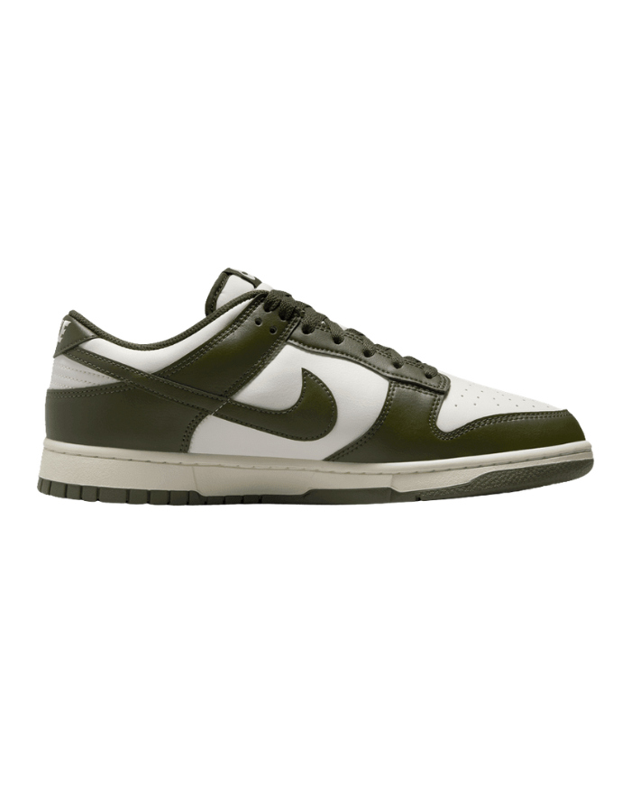 Men's Nike Dunk Low Retro Casual Shoes