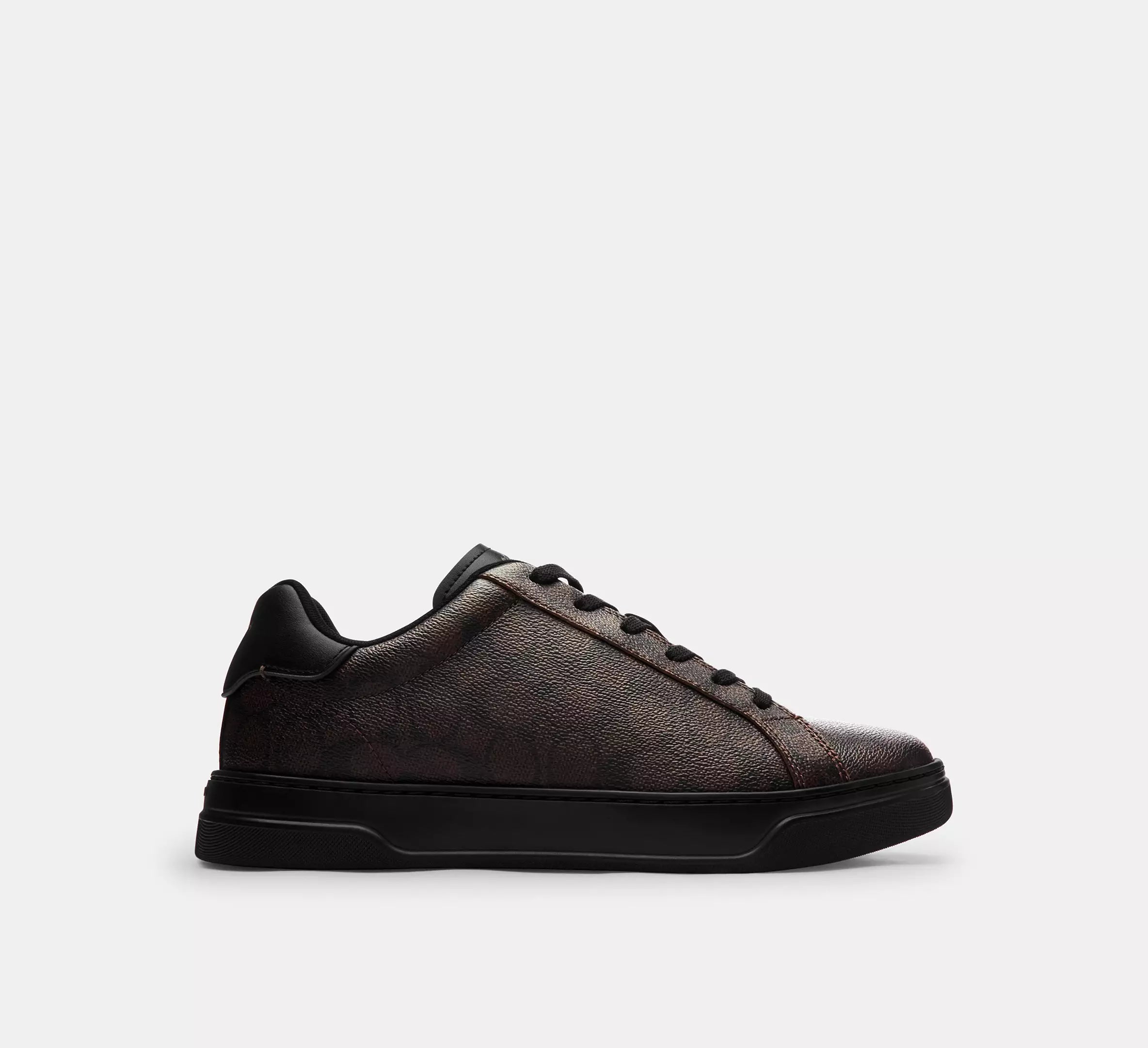 High Line Sneaker In Signature Canvas / Café