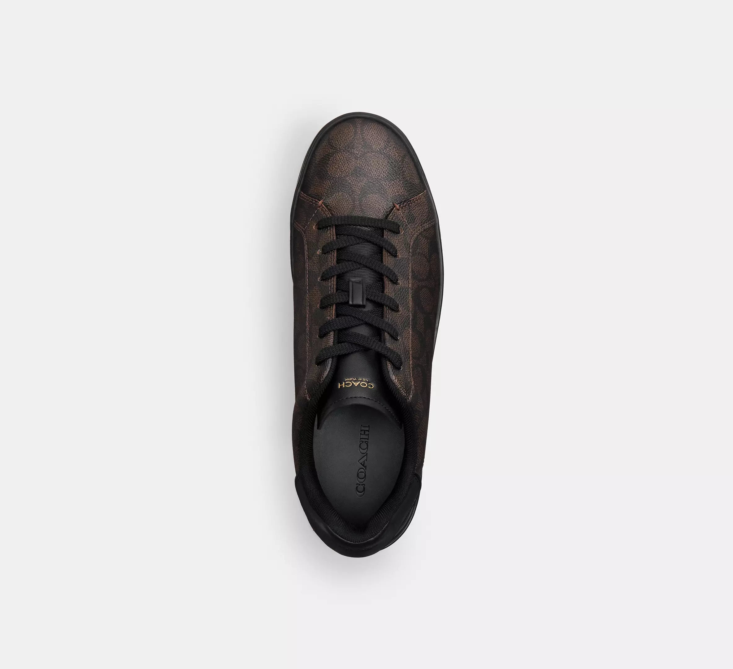 High Line Sneaker In Signature Canvas / Café
