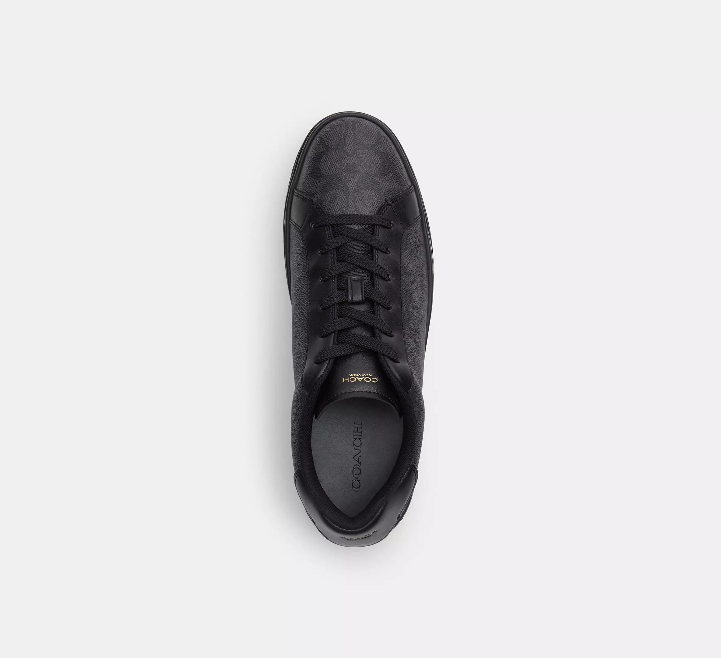 High Line Sneaker In Signature Canvas