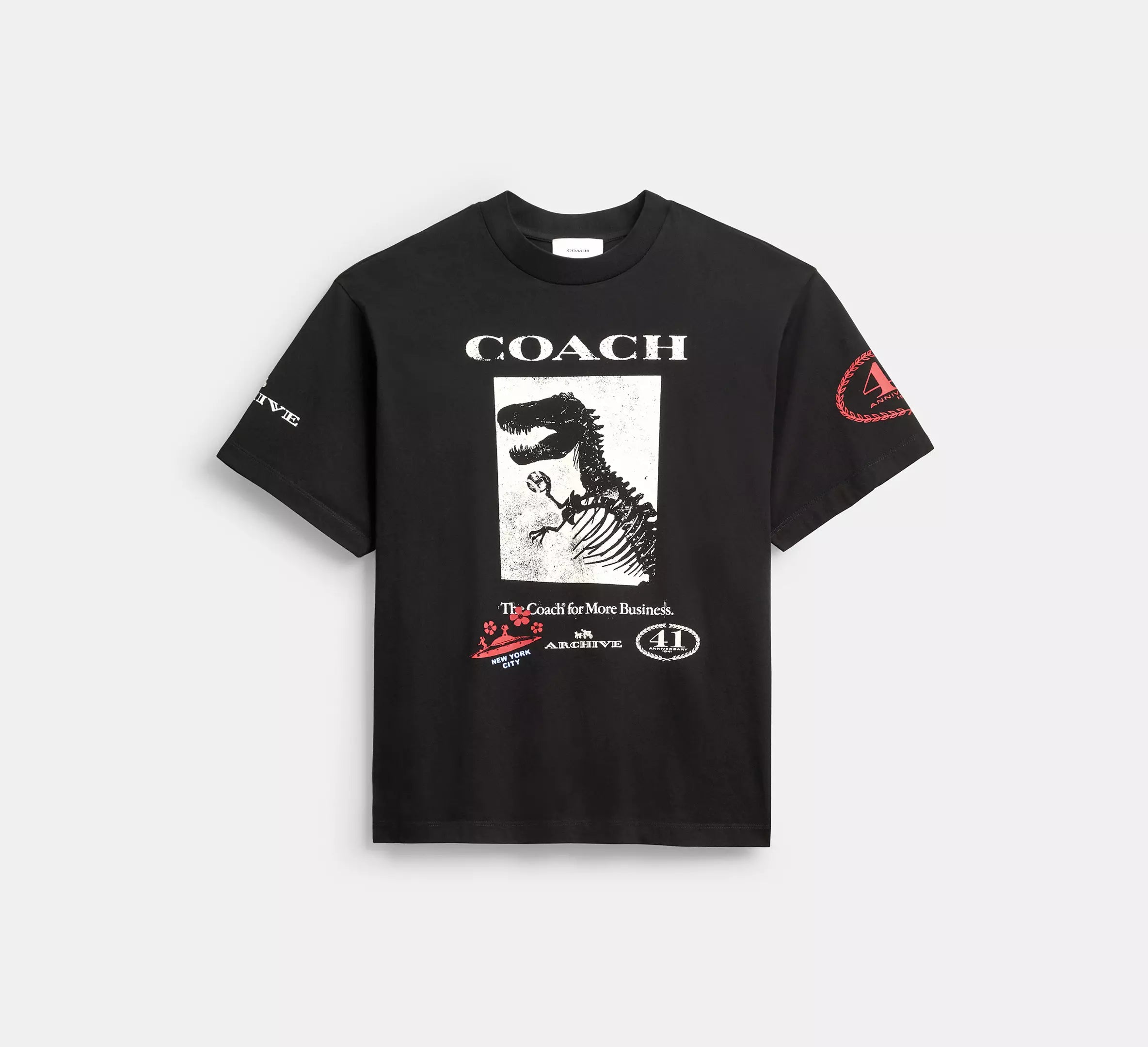 Dinosaur Collage T-Shirt In Organic Cotton