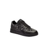 Soho Sneaker With Crystal Signature Jacquard