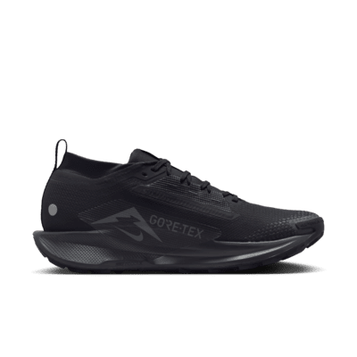 Nike Pegasus Trail 5 GORE-TEX