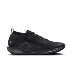 Nike Pegasus Trail 5 GORE-TEX