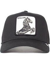 Cargar imagen en el visor de la galería, The Stallion