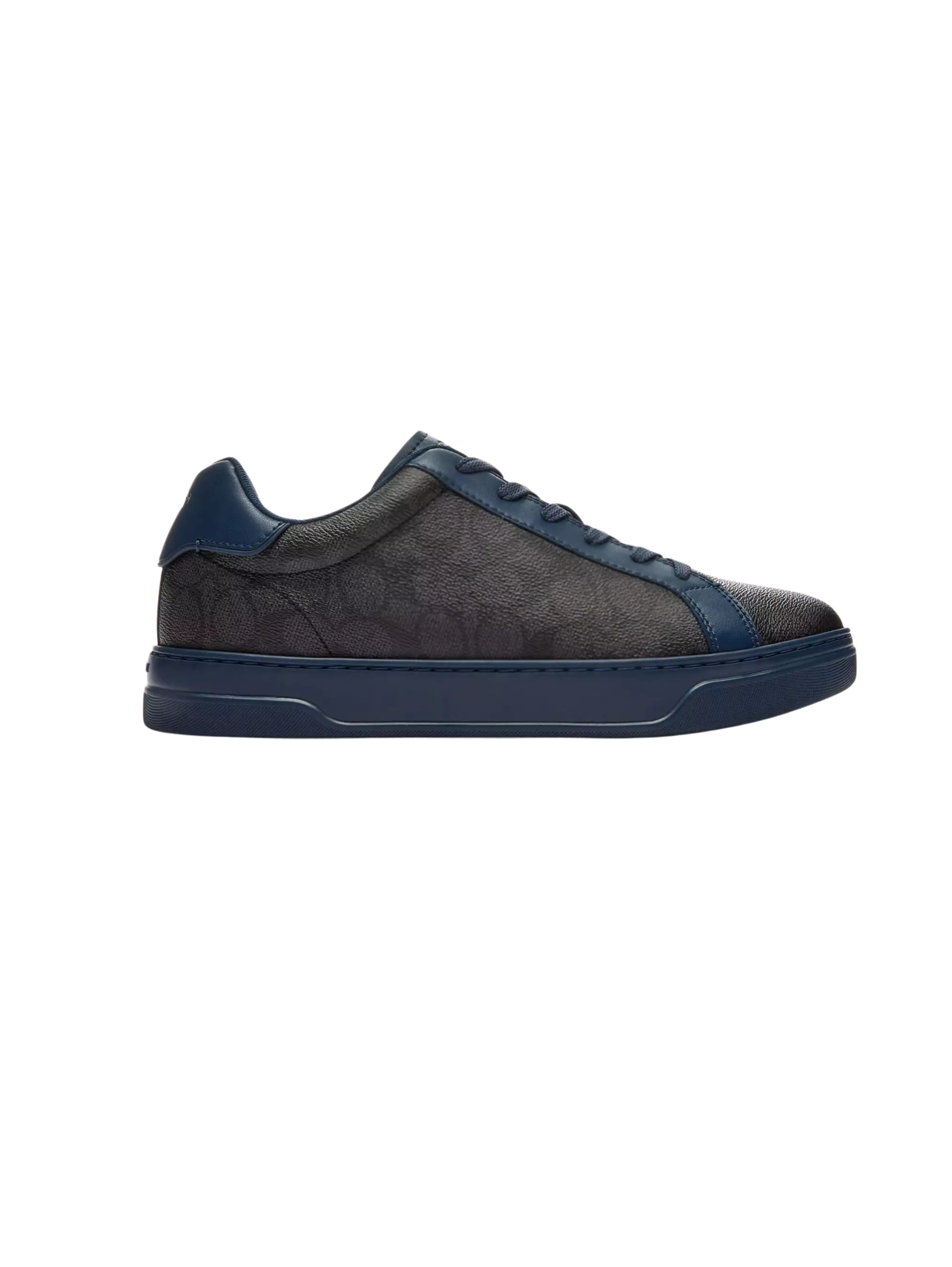 High Line Sneaker In Signature Canvas
