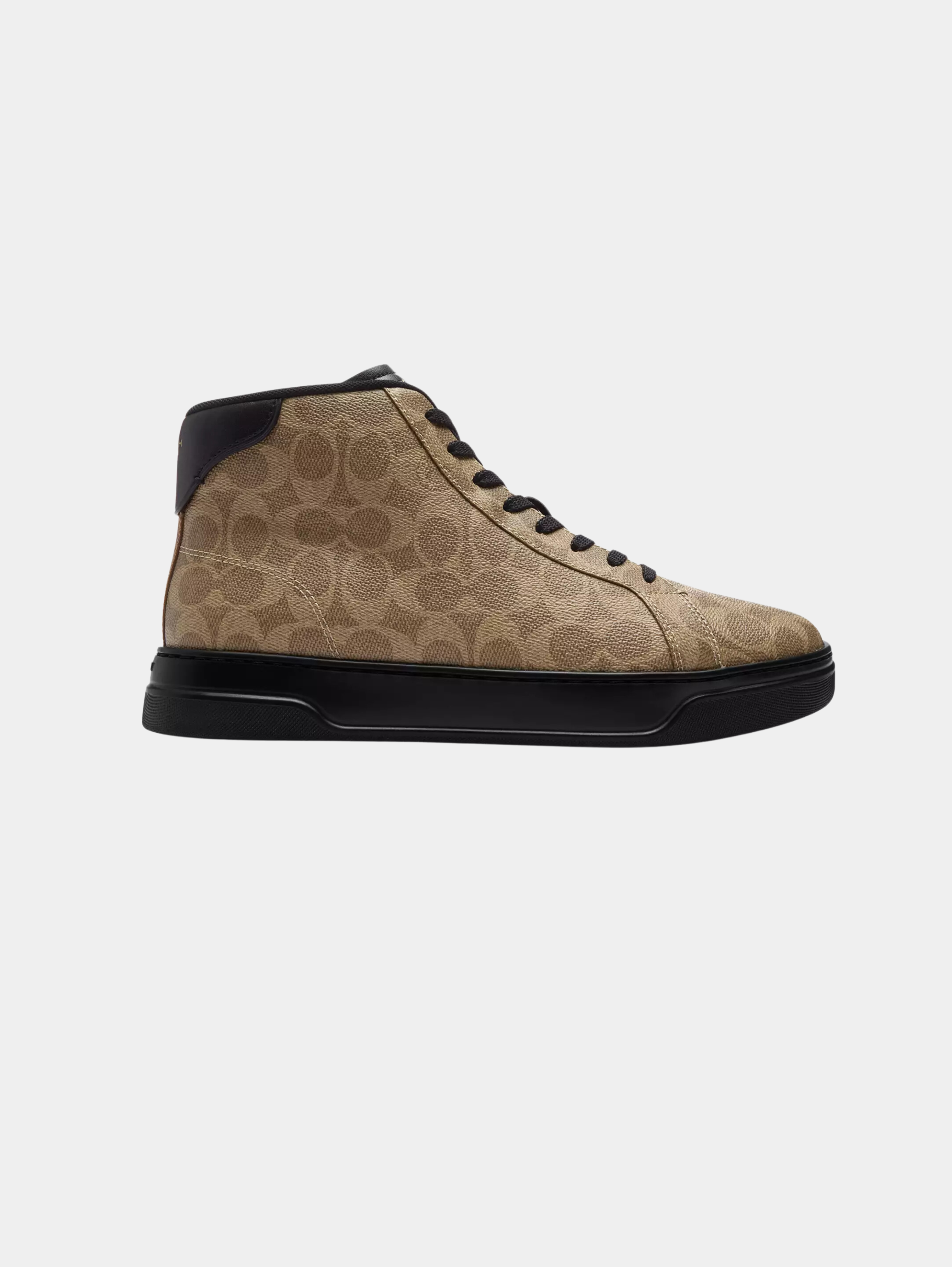 High Line High Top Sneaker In Signature Canvas