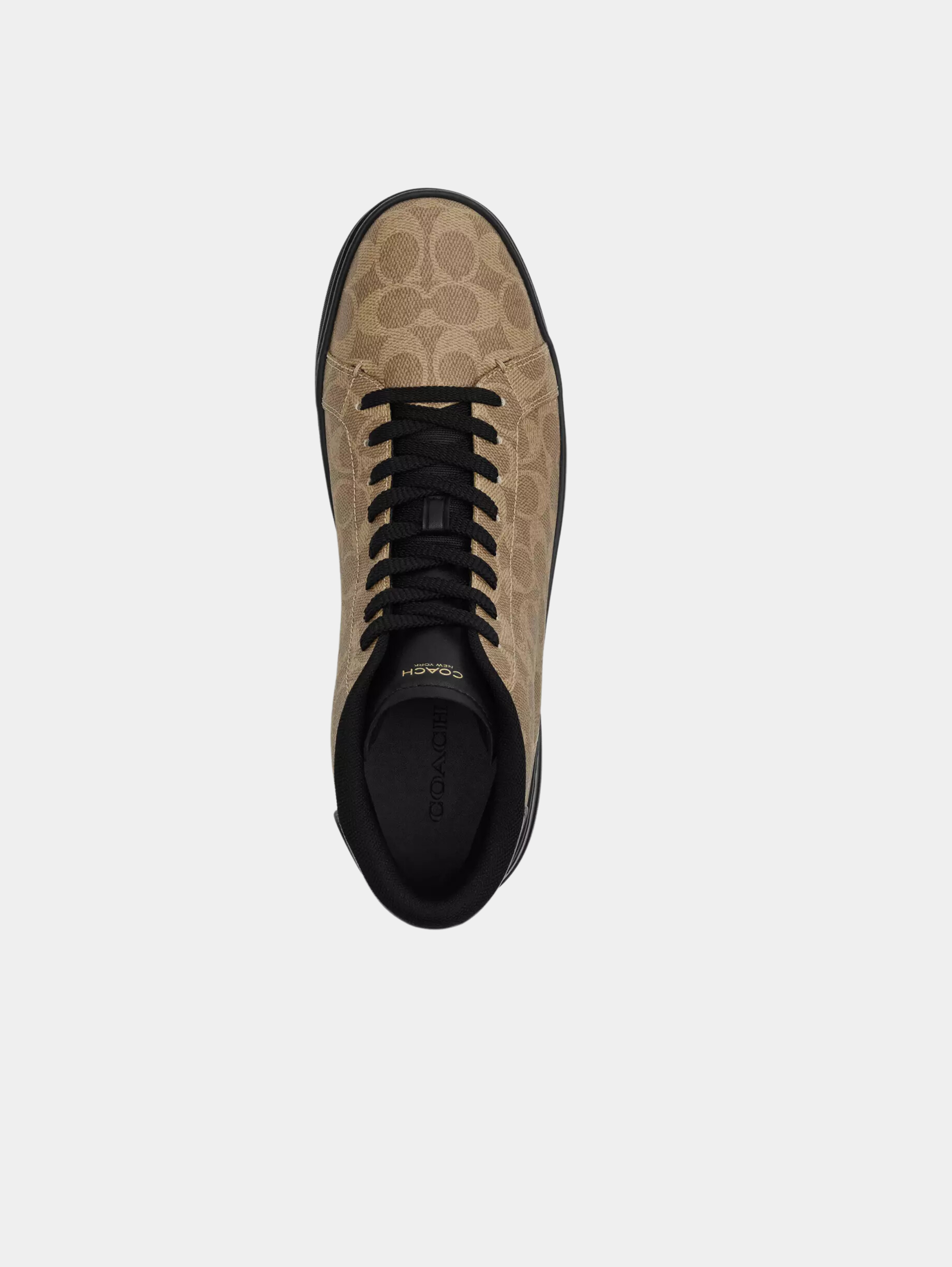 High Line High Top Sneaker In Signature Canvas