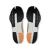 Cloudsurfer Next