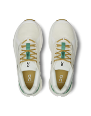 Cloudrunner 2