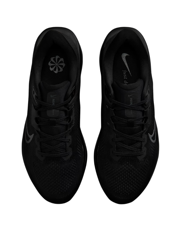 Nike Quest 6