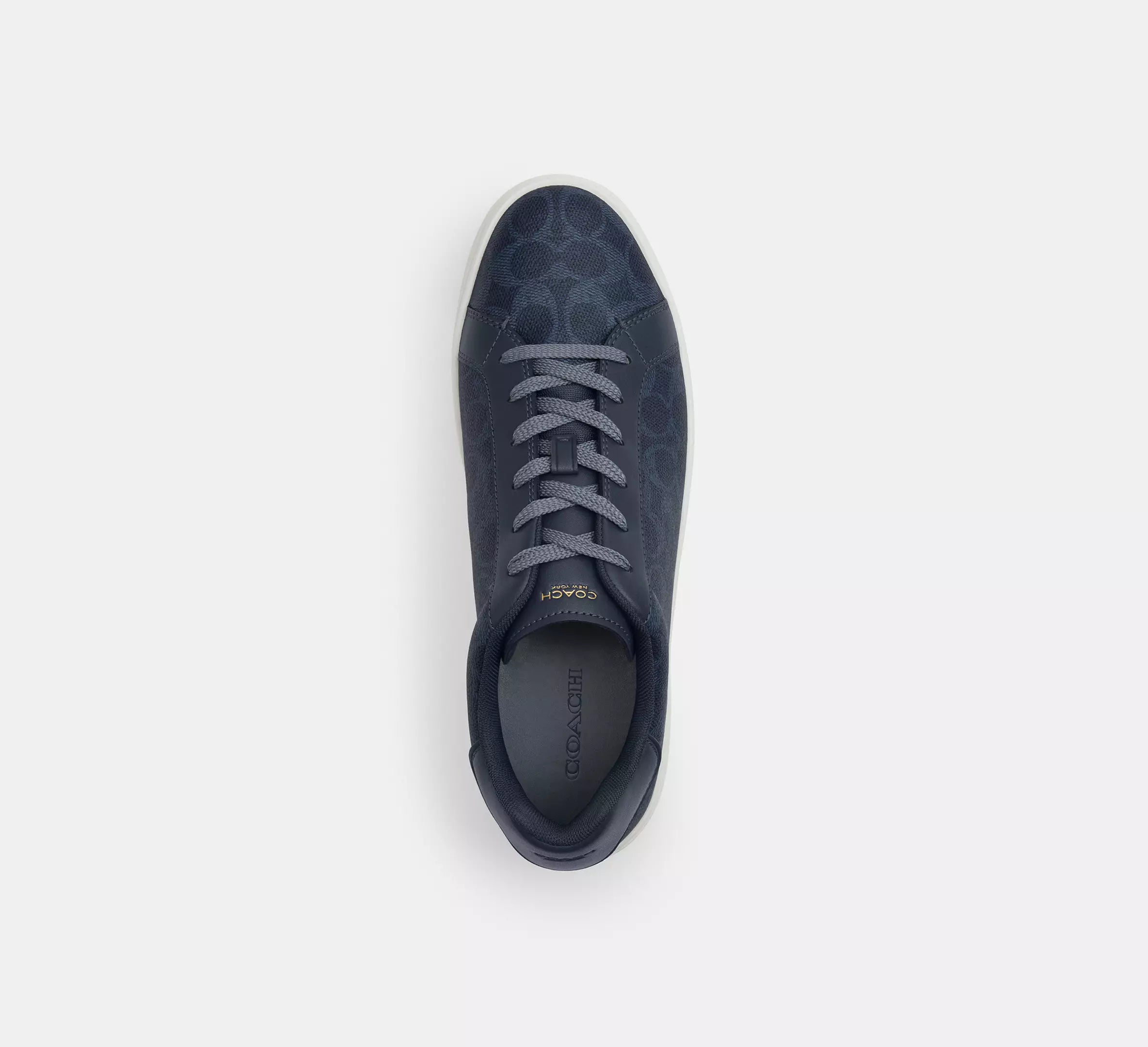 High Line Sneaker In Signature Canvas