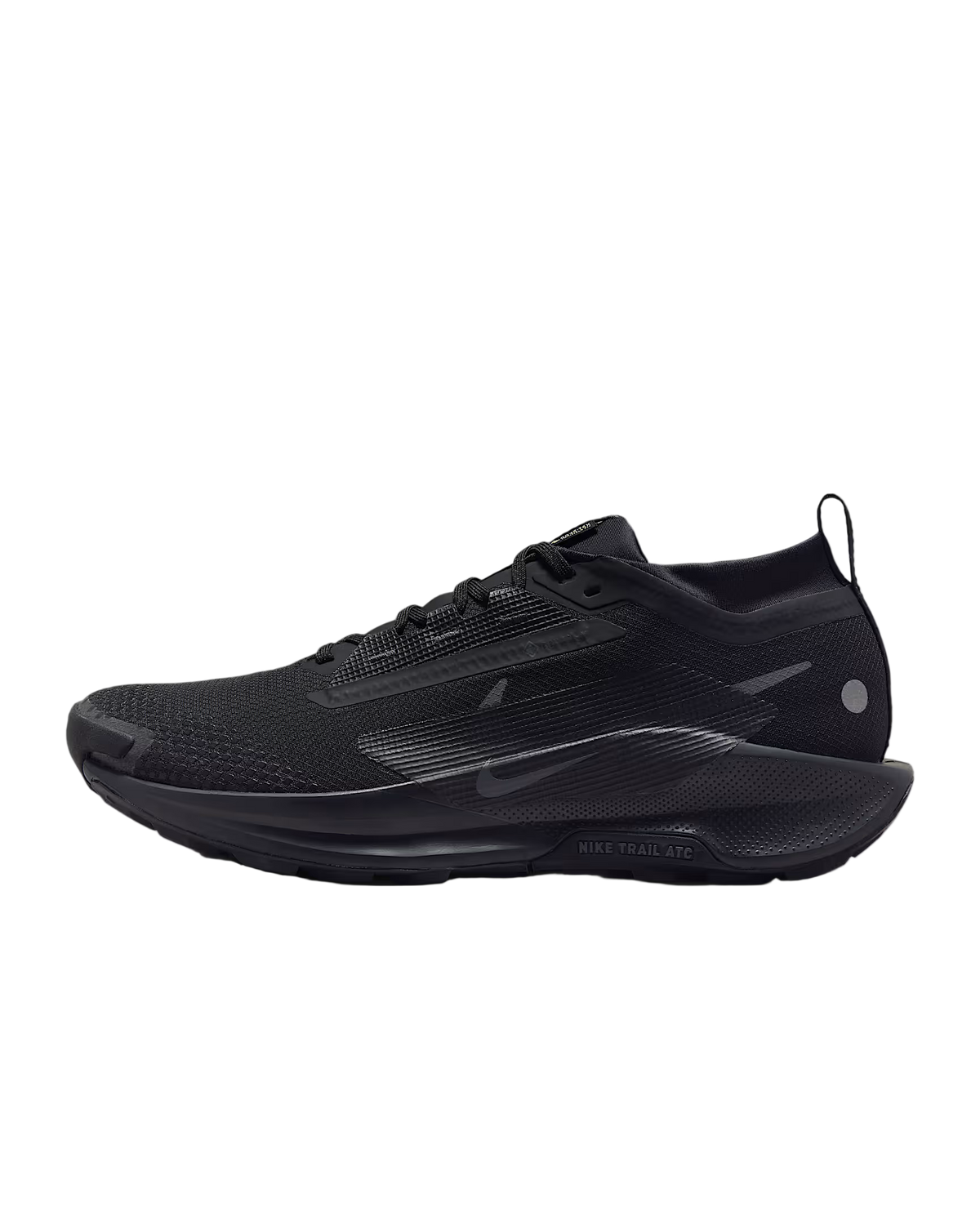 Nike Pegasus Trail 5 GORE-TEX