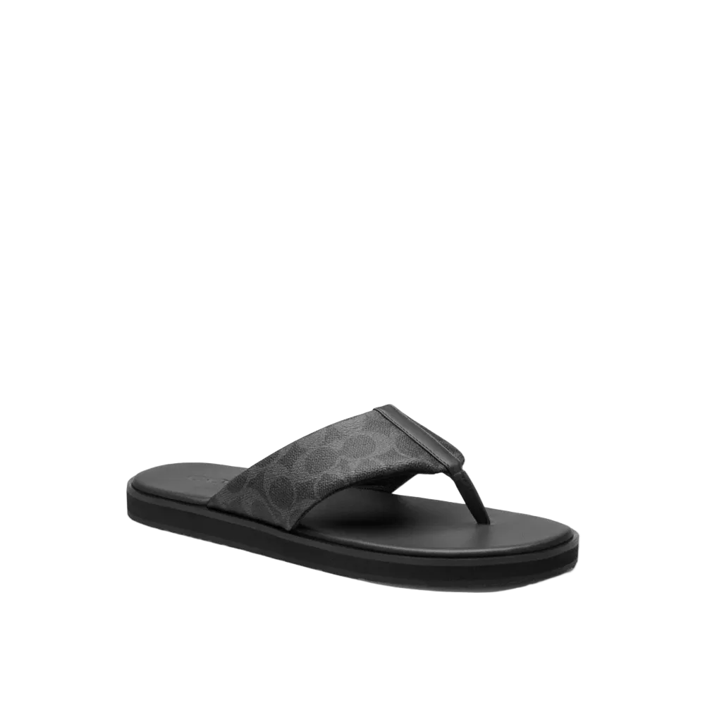 Flip Flop In Signature Canvas