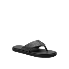 Flip Flop In Signature Canvas