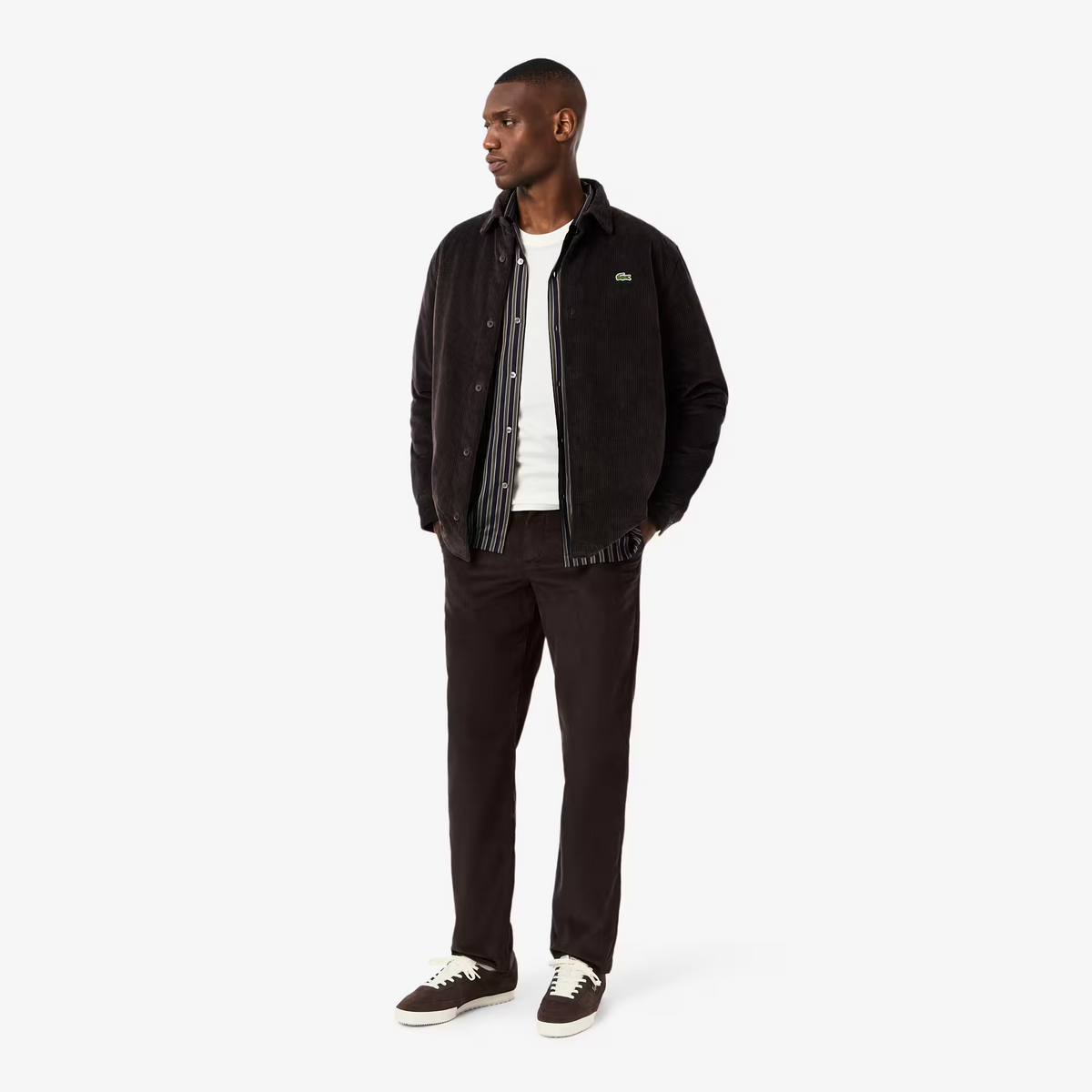 Regular Fit Corduroy Chino Pants