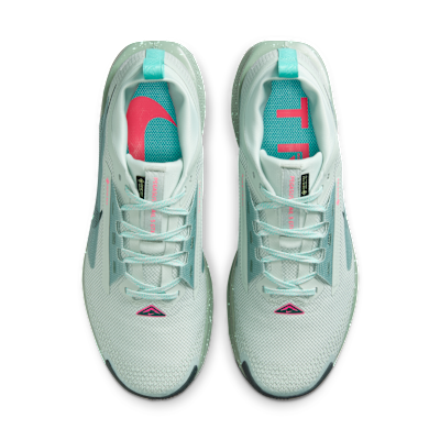 Nike Pegasus Trail 5 GORE-TEX