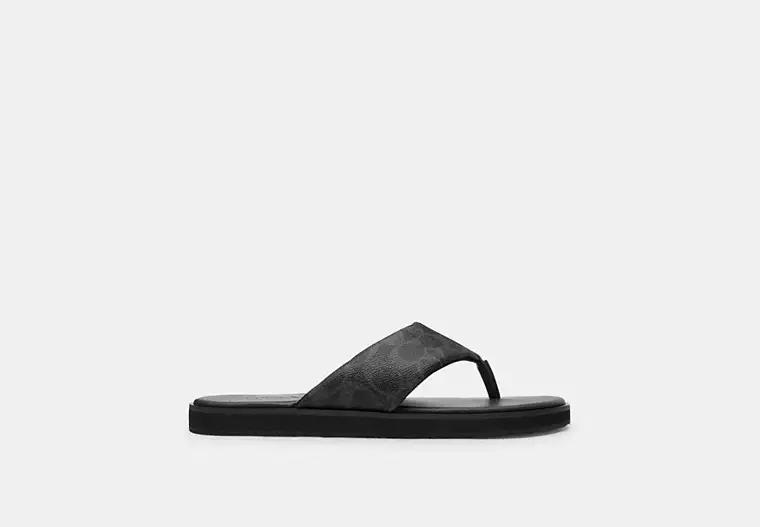 Flip Flop In Signature Canvas