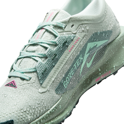 Nike Pegasus Trail 5 GORE-TEX