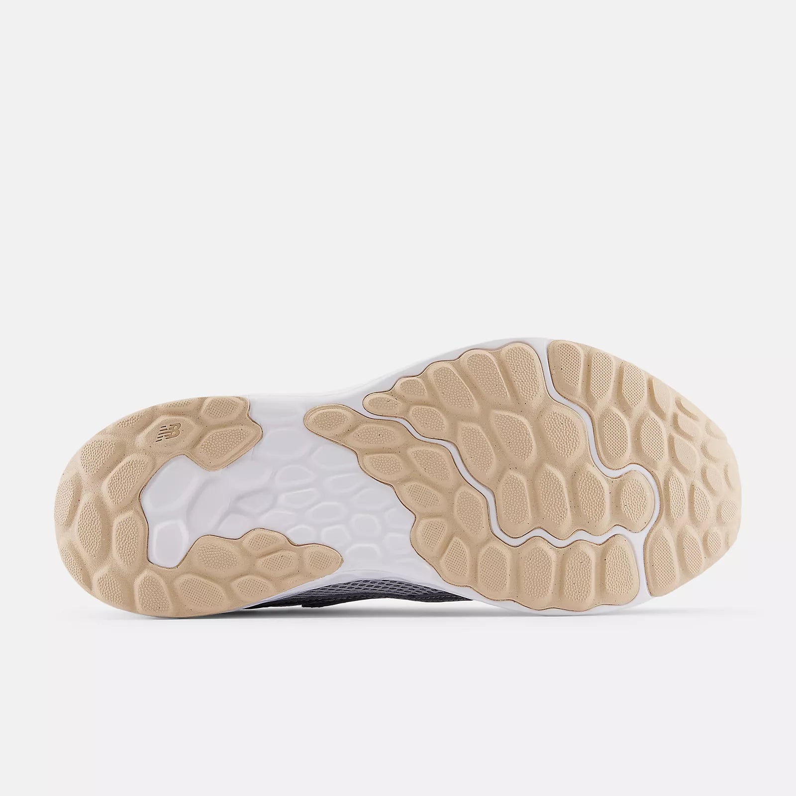 Fresh Foam Arishi v4 Tiralux