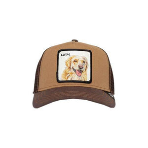 The Loyal Dog