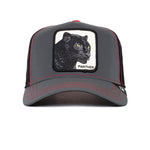 Panther Nights - Nueva Coleccion