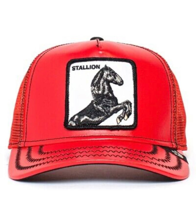 Cherry Mustang - Nueva Coleccion
